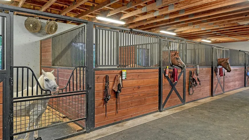 The installed Legend Series MS3000 stall front features an offset sliding door and grilled feed door, framed for 4x12horizontal wood fill with a yoke opening and crossbuck bottom.• Welded pre-galvanized steel with zinc primer and black textured TGIC polyester powder coating• Self-cleaning track and roller system; door slides left to open• 1" bars, 2" upper and 1.5" lower spacing for safety• Flip latch; accepts removable yoke fill piece• Includes "in and out" fenced paddock access