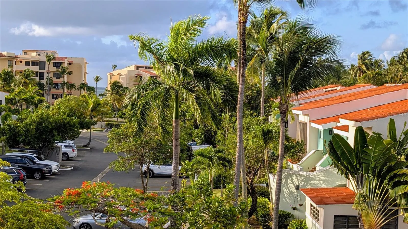 View from Terrace
