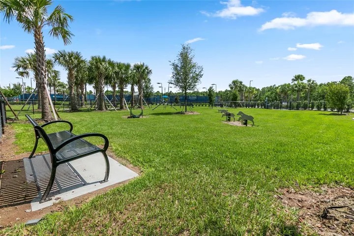 community dog park
