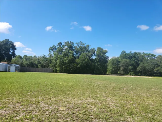 No trees, mowed by neighbor