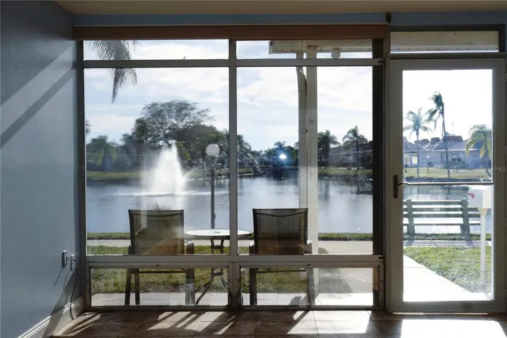 Living Room Window