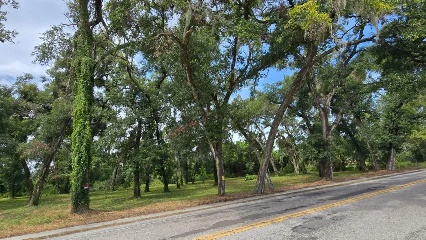 Facing Lithia Pinecrest rd