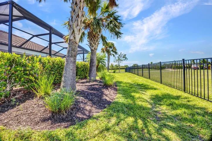 Backyard within the fencing. Wonderful for dogs.
