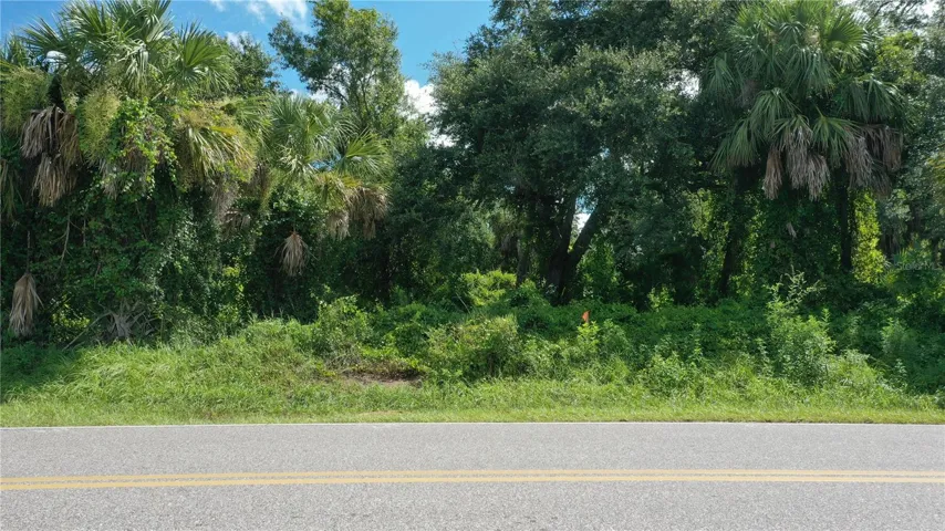 284 Hinton St Vacant Lot
