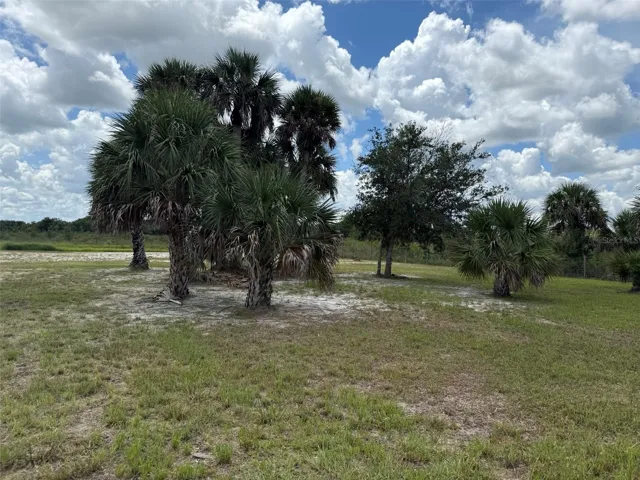 1170
