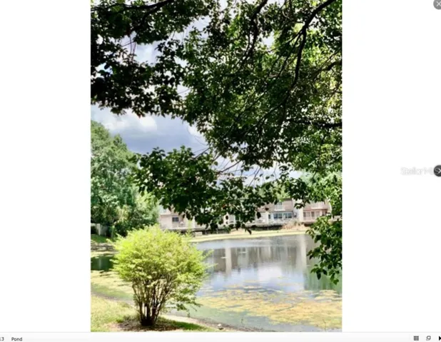 Pond View