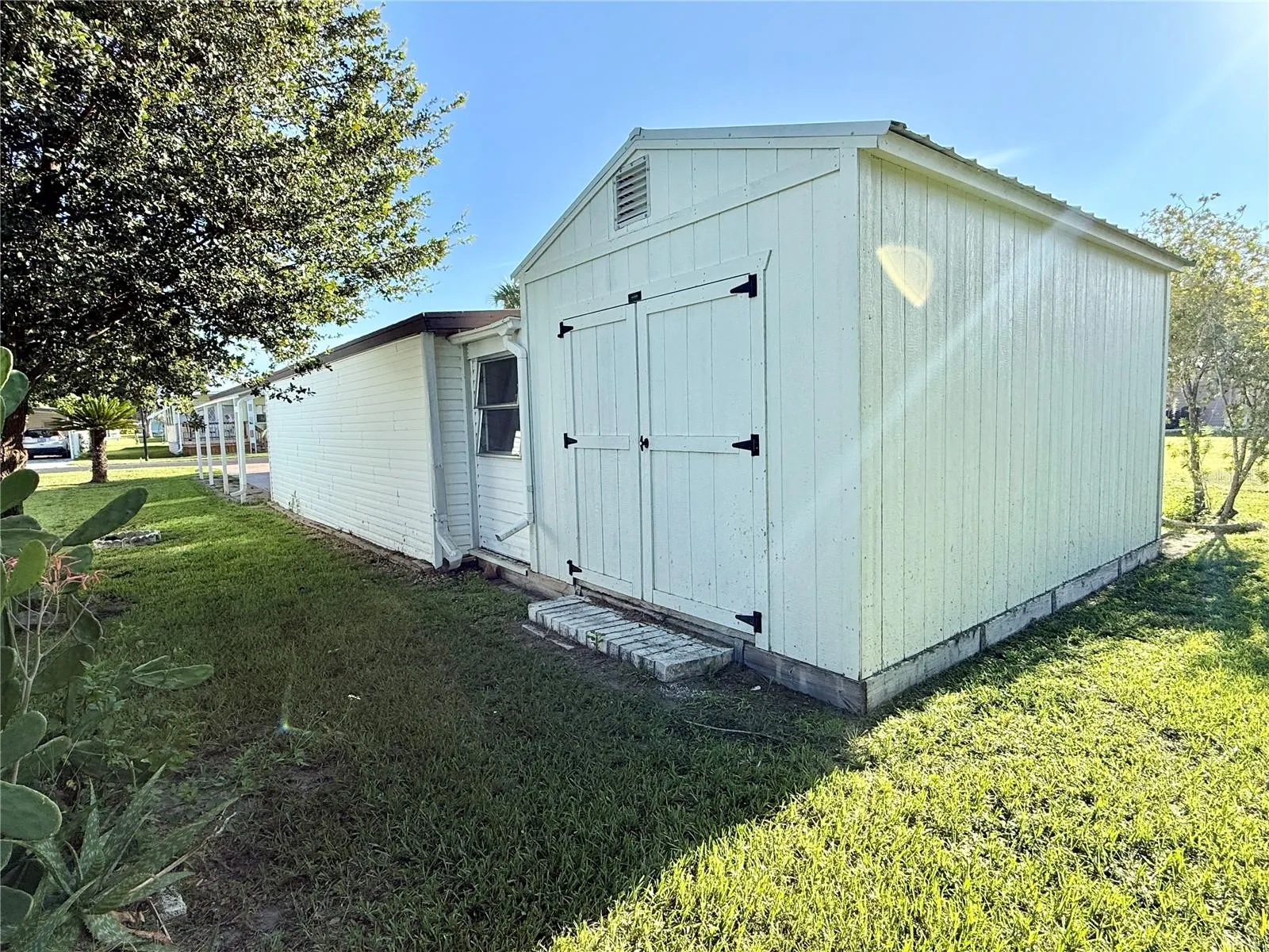 Shed