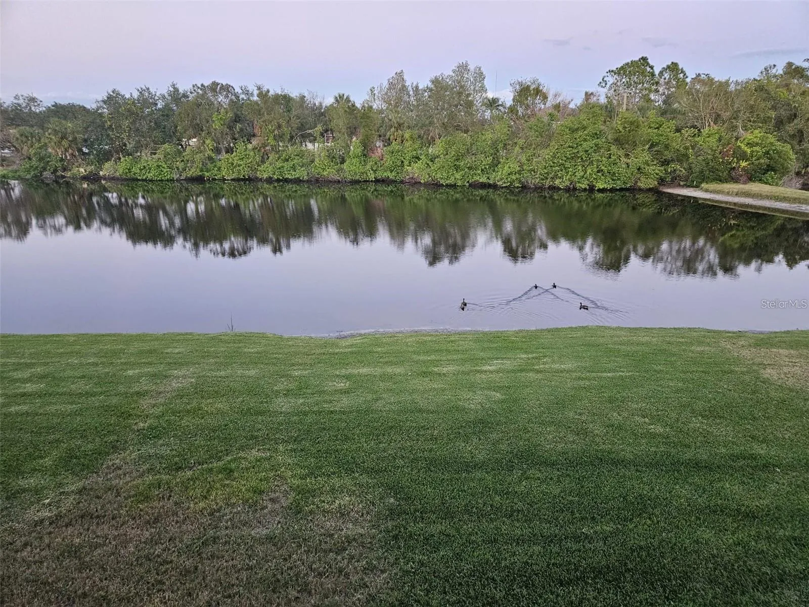 Water view