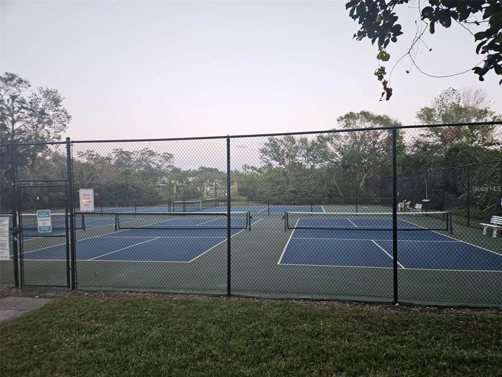 Tennis court
