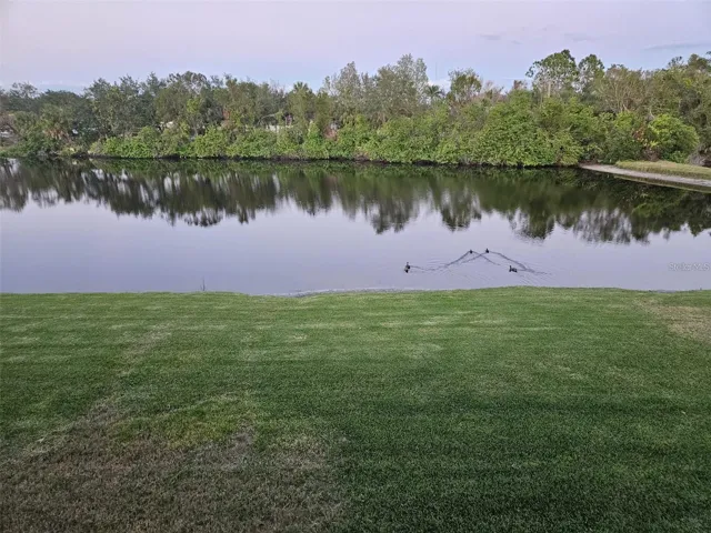 Water view
