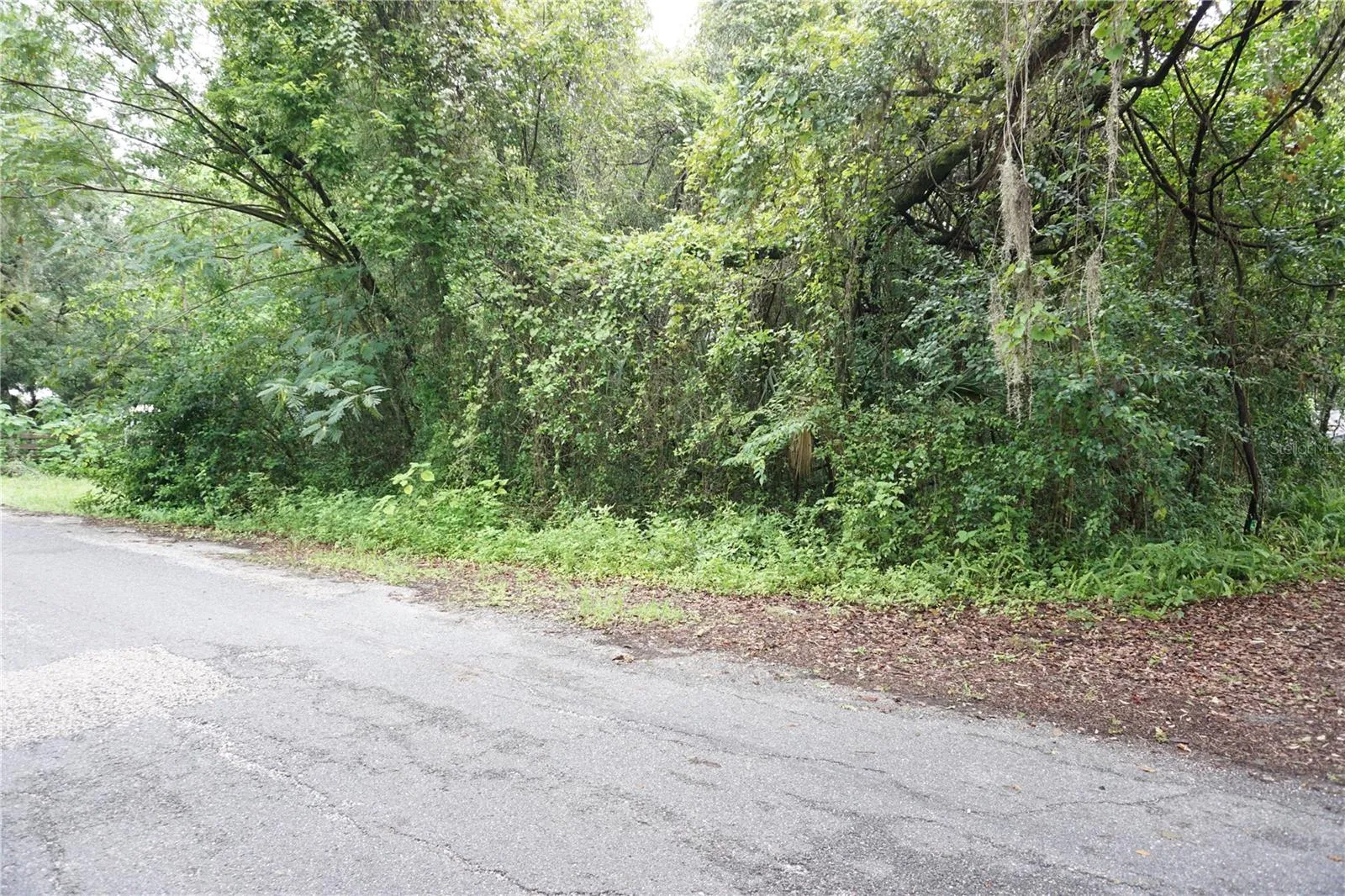wooded area on one side
