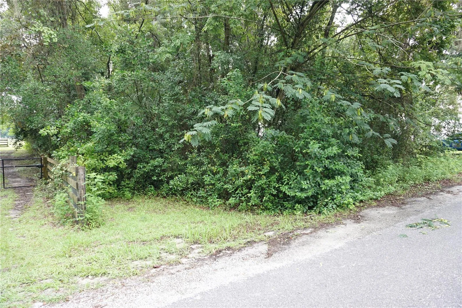 wooded area on one side