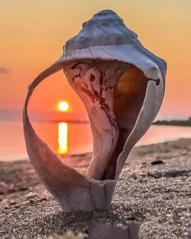 1170