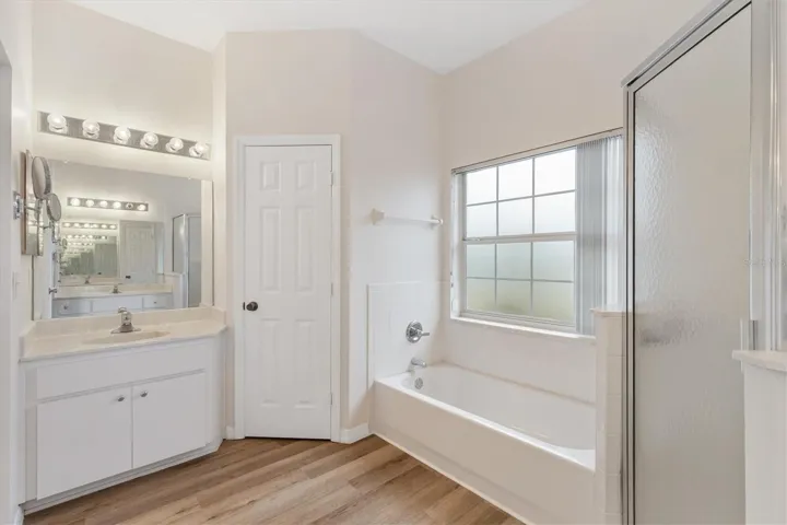 The other vanity in Primary.  Closed door is the water closet.