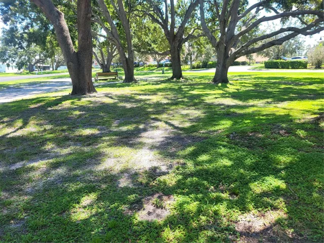 Beautiful shaded  park with dog park area