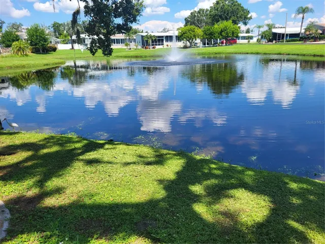 Lake with benches and tables.  Ducks to feed.