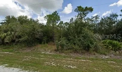 Street-level view of wooded 40x120 residential lot on Mandalay Dr; septic required.