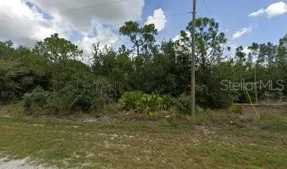 Wooded 40’ x 120’ residential lot on Mandalay Dr in Tropical Gulf Acres. Septic required.