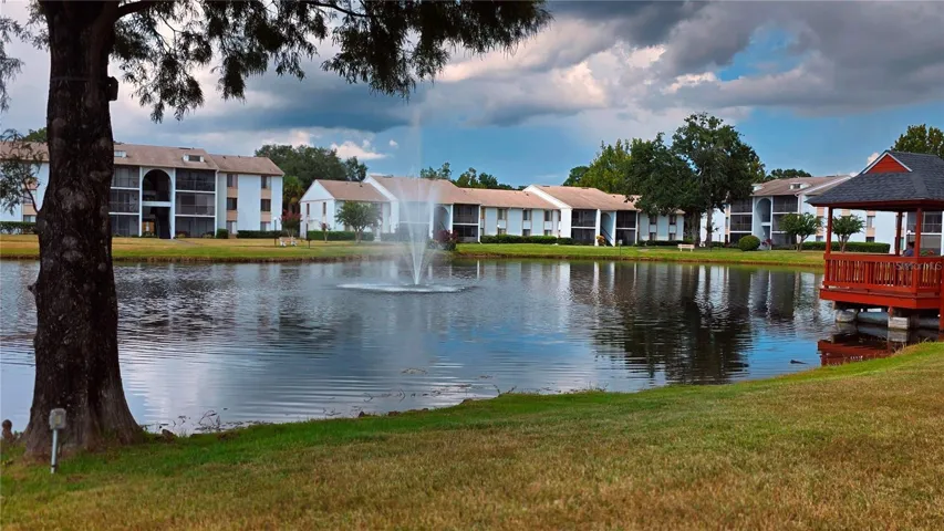 Pond View