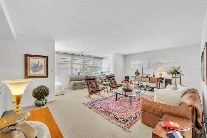 Spacious Living Room