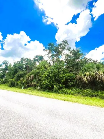 View of the Lot!! Buy Two Lots and Create Almost Half an Acre!!