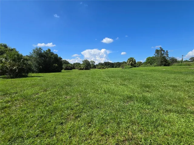 NORTH END OF PROPERTY FACING SOUTH