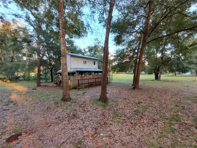 Tree house (with running water and bathroom)