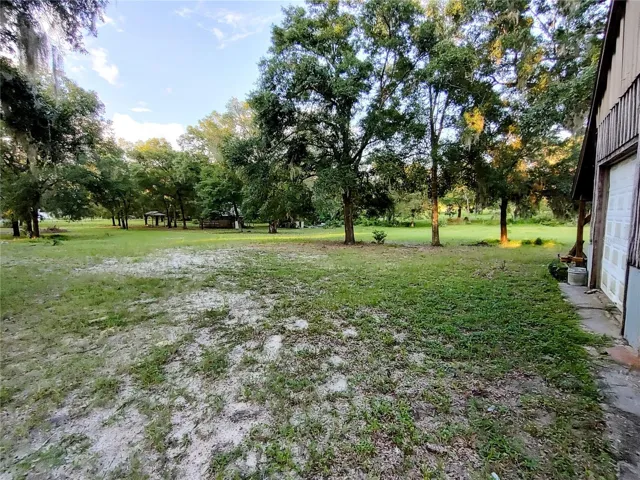 Back acreage with tree house (with running water and bathroom) in the distance