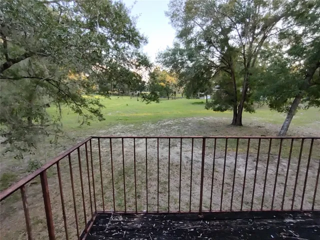 Tree house (with running water and bathroom)