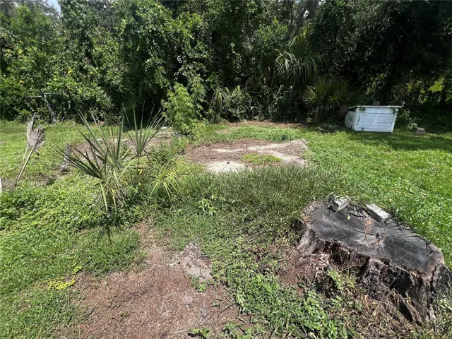 There's a concrete slab that used to be a workshop.