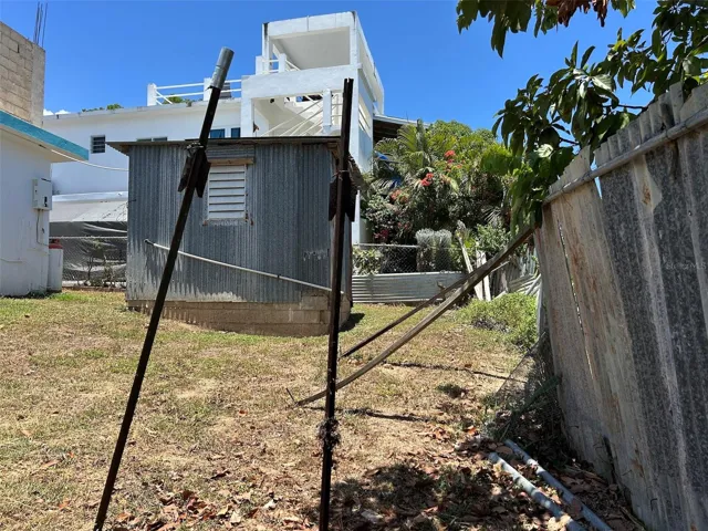 Back yard