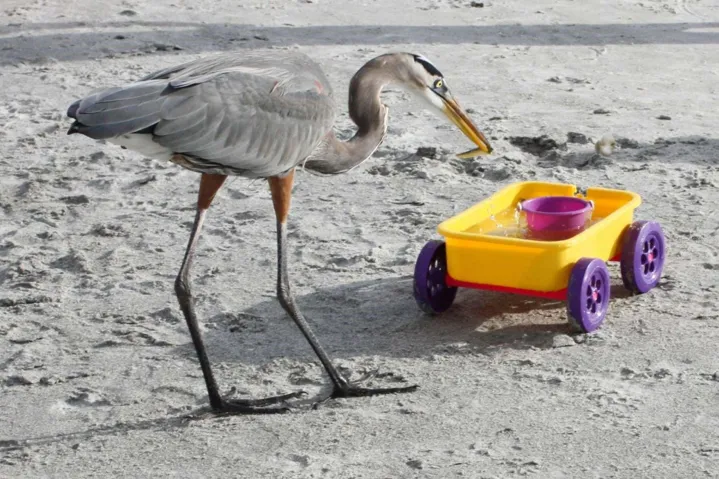 1170