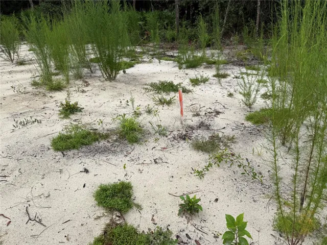 Marker shows where septic is