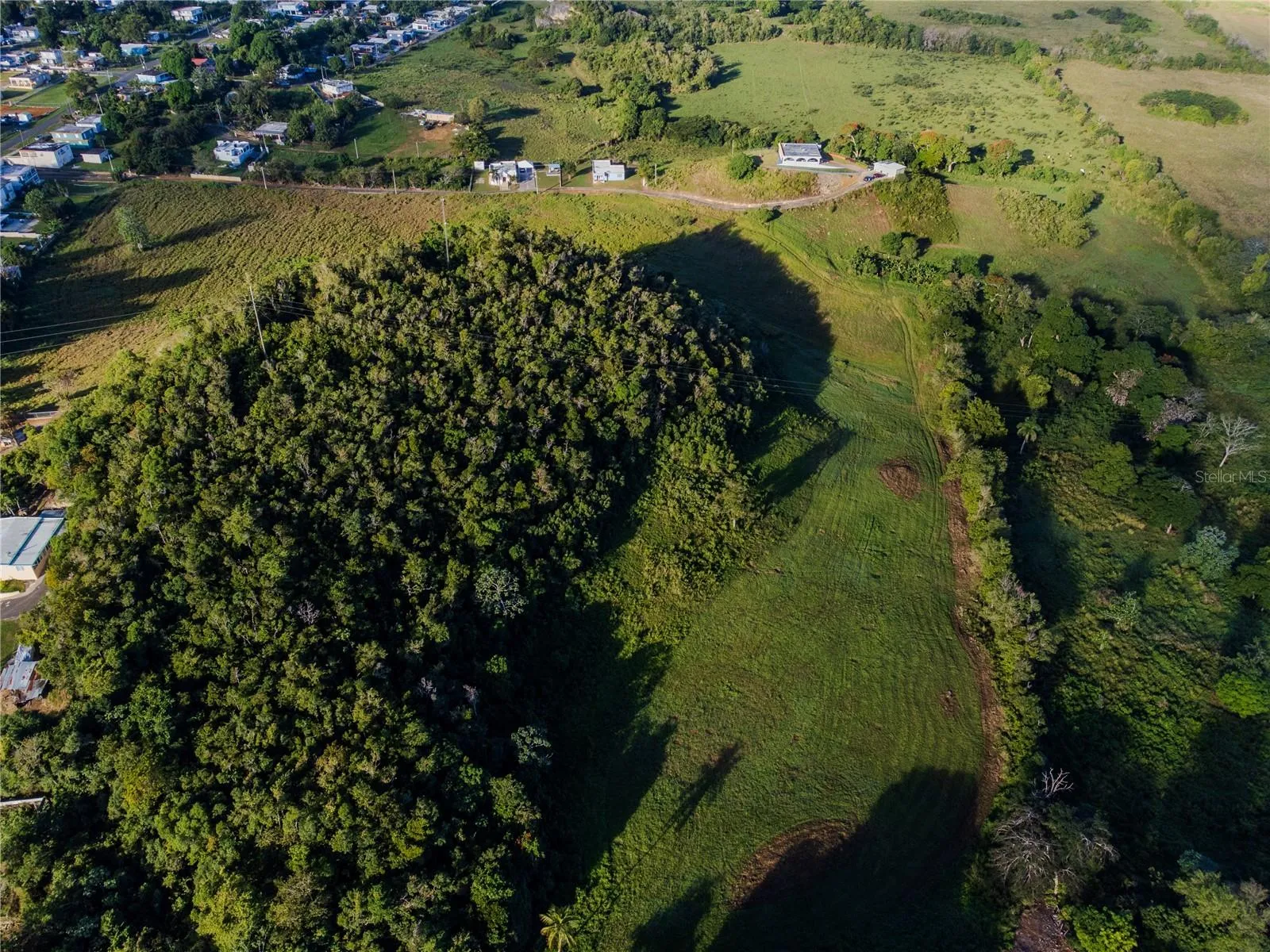 Picture from above