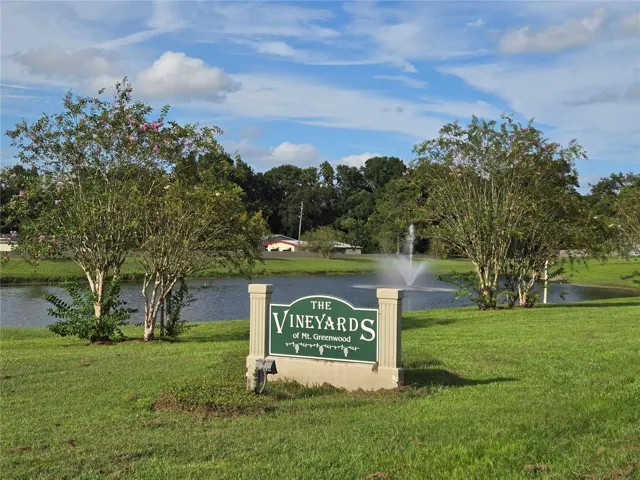 The Vineyards