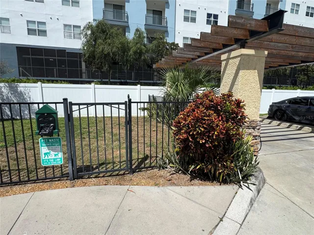 Dog Park next to car wash