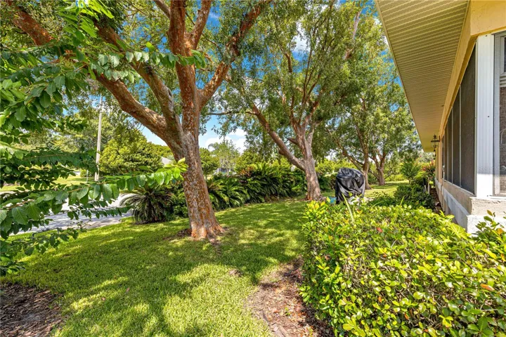 shade trees keeping house cool