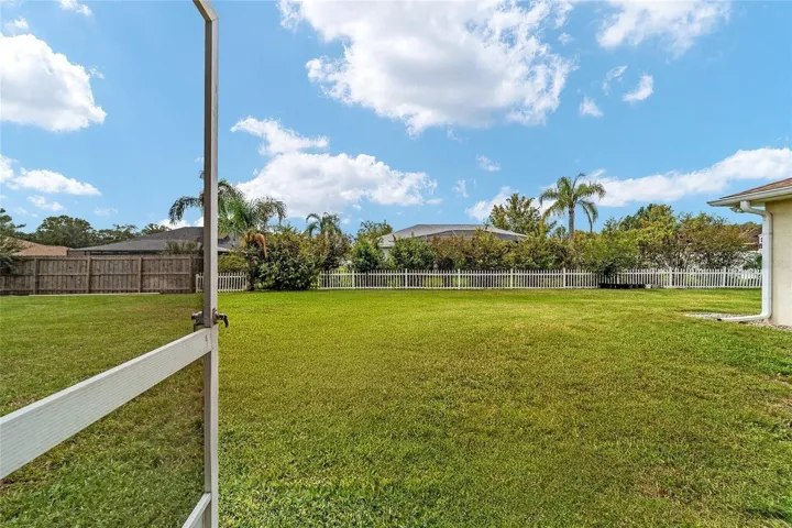 Nice backyard