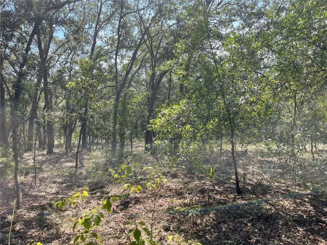 Lot Inside View