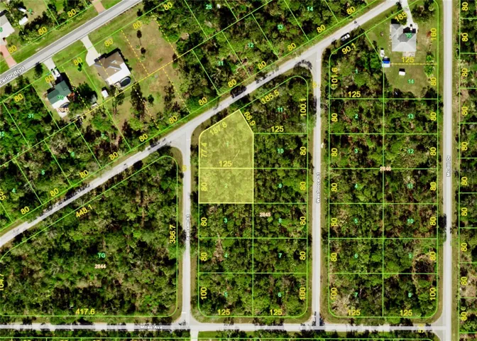 Aerial View 1