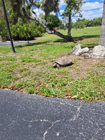 One of a few of the "locals" that live in Rolls Landing!