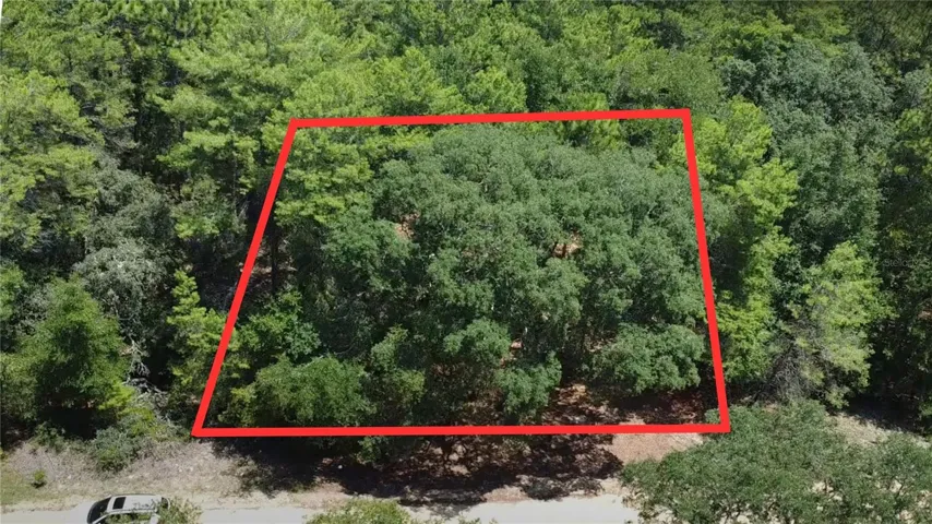 Aerial Drone Shot