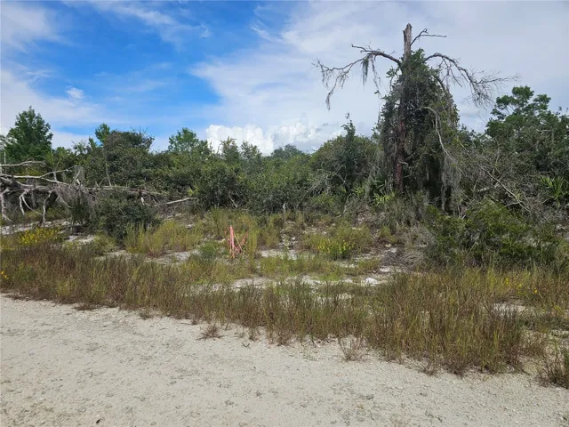 Vacant land for sale, check with the county for specific use.