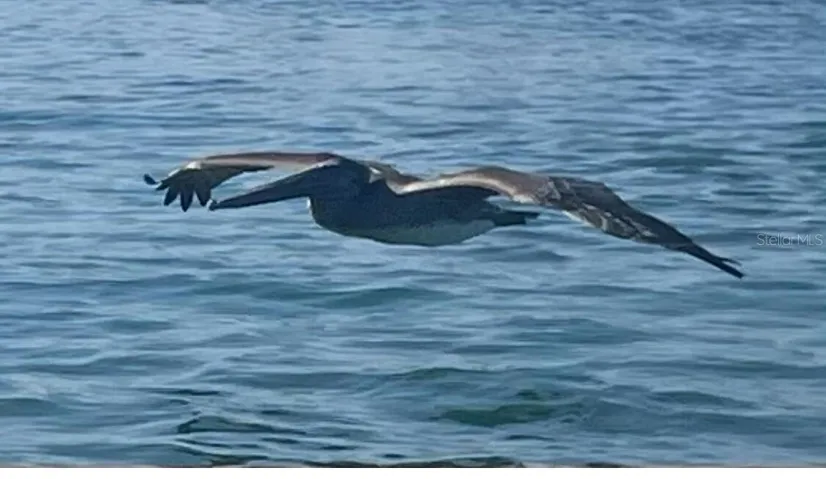1170
