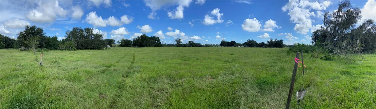 View from middle of property looking north