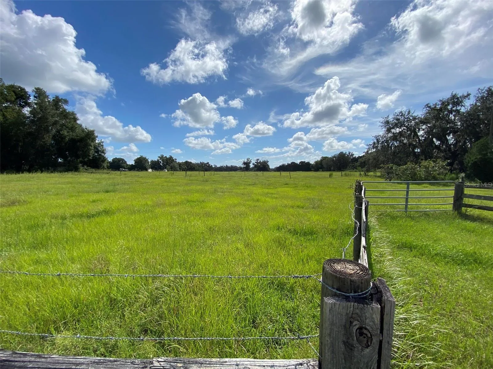 View looking east from front gate