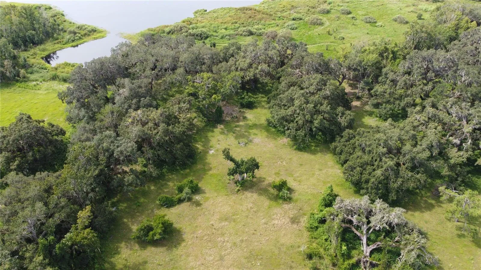 southern property line