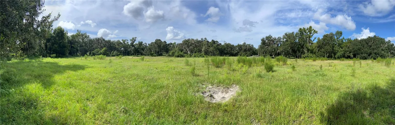 View from middle of property looking south