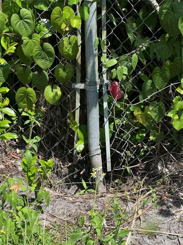 This pink flag marks the NW corner of the property.