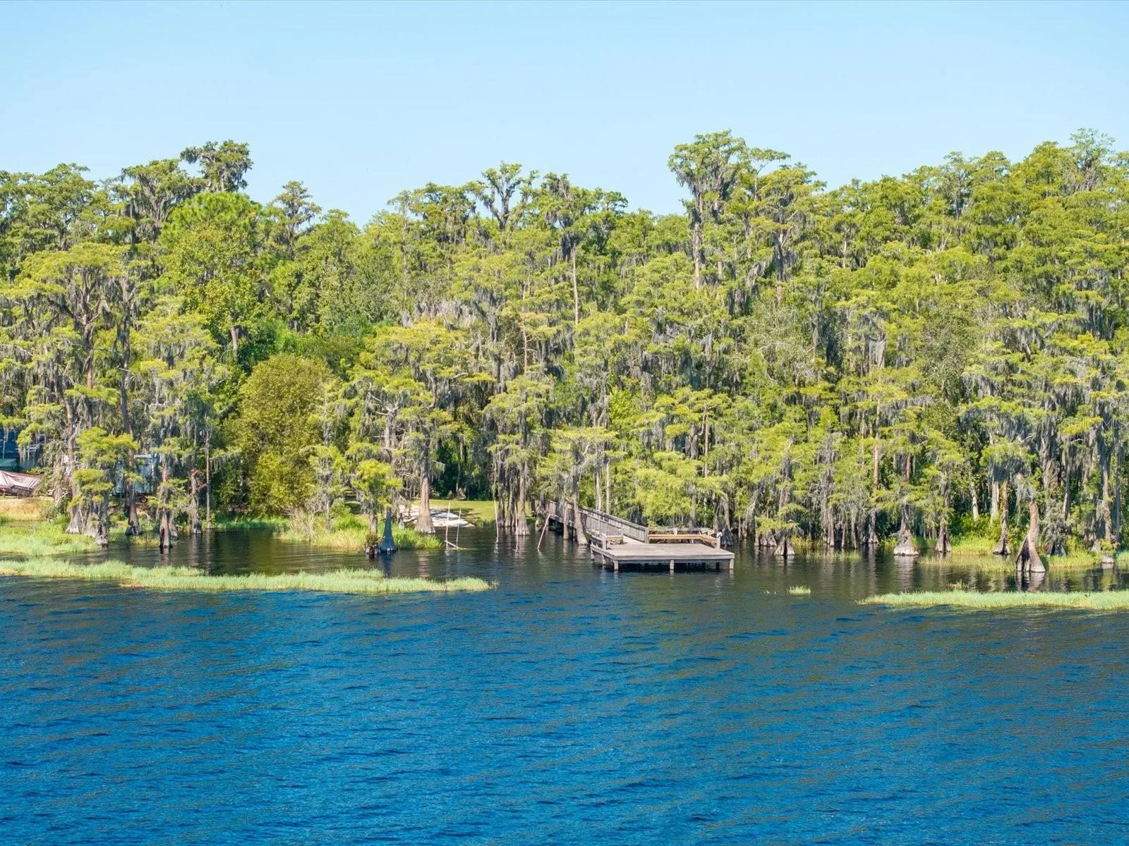 Lake Louisa - Private Neighborhood Access